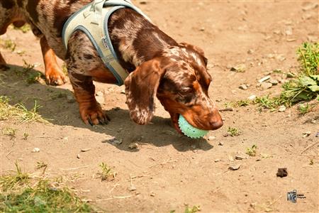 RQ 2025 - LP2 F - Rugby Club de Montréal vs TMR