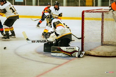 RSEQ 2025 - Hockey M - André Laurendeau (5) vs (4) Cégep de Thetford