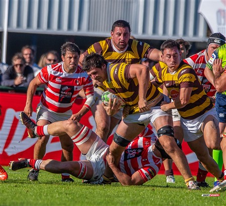 URBA 2025 - Top 12 - 3ra fecha - Sup -  Alumni (19) vs (35) Belgrano Athletic