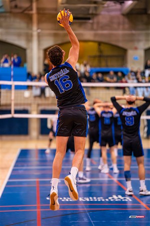 RSEQ 2025 - Volleyball M - Université de Montréal (3) vs (0) UNB