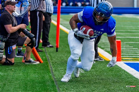RSEQ 2025 - Football Universitaire - Carabins de Montréal (41) vs (14) Stingers de Concordia - Match