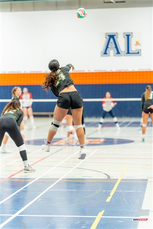 RSEQ 2025 - Volleyball F D1 - André Laurendeau (3) vs (1) Bois-de-Boulogne - Reel BB