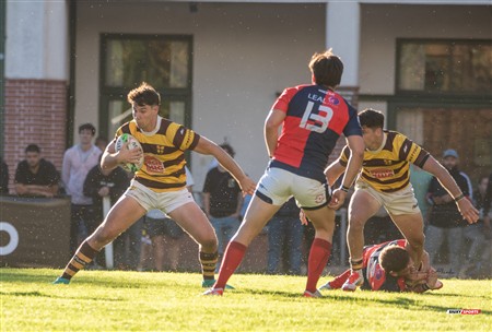 URBA 2025 - Top 12 - 5ta fecha - Belgrano Athletic (52) vs (17) San Luis