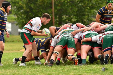 RQ 2025 - SL M - Town of Mount-Royal vs Rugby Club de Montréal