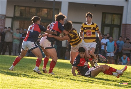 URBA 2025 - Top 12 - 5ta fecha - Belgrano Athletic (52) vs (17) San Luis