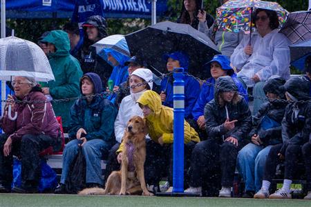 RSEQ 2025 - Rugby F - Université de Montréal vs Ottawa University