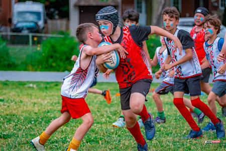 2025 Stade Toulousain - Academie Rugby - Dragons NDG