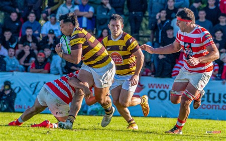 URBA 2025 - Top 12 - 3ra fecha - Sup -  Alumni (19) vs (35) Belgrano Athletic