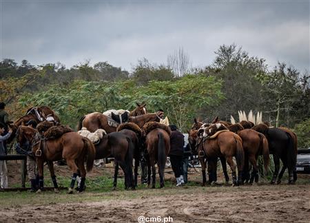 Torneo Nacional de Pato dia de la Independencia Argentina