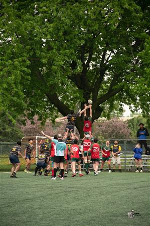 RQ 2025 - SL R - Rugby Club de Montréal vs Town of Mount Royal