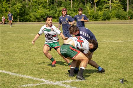 RQ 2025 - SL M - Sainte-Anne-de-Bellevue RFC vs Rugby Club de Montréal