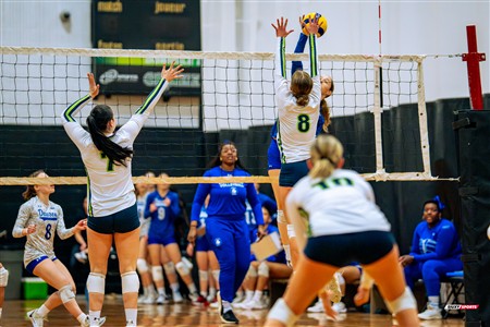 RSEQ 2025 - Volleyball F D2 - Championnat de Conférence - Dawson (0) vs (2) Montmorency