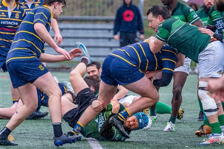 PARCO TOURNOI A.STEFU 2025 - Game1 - Irish vs TMR