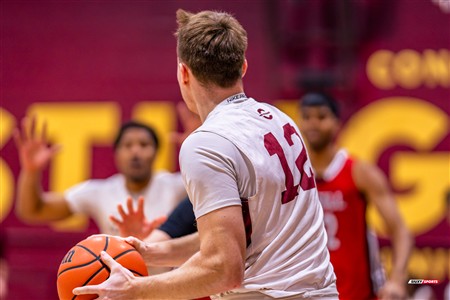 RSEQ 2025 - Basketball M - Concordia (90) vs (46) McGill