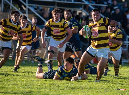 URBA 2025 - Top 12 - 1ra fecha -  La Plata (28) vs (44) Belgrano Athletic