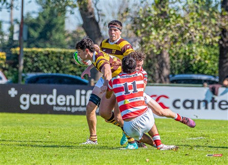 URBA 2025 - Top 12 - 3ra fecha - Inter -  Alumni (33) vs (24) Belgrano Athletic