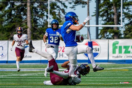 RSEQ 2025 - Football Universitaire - Carabins de Montréal (41) vs (14) Stingers de Concordia - Match