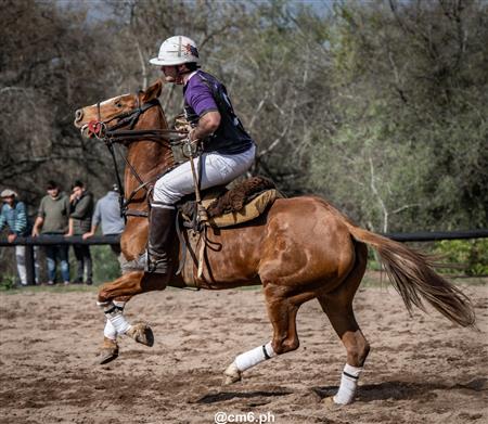Torneo Nacional de Pato dia de la Independencia Argentina
