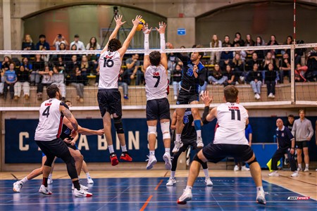RSEQ 2025 - Volleyball M - Université de Montréal (3) vs (0) UNB