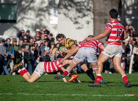 URBA 2025 - Top 12 Sup - Belgrano Athletic (35) vs (17) Asociacion Alumni