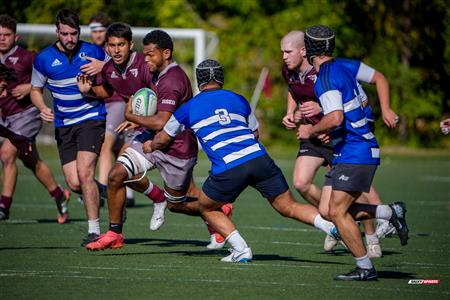 2025 - Rugby - Carabins Académie  vs GeeGees Academy