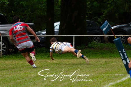 URT 2025 - Lince Rugby Club (12) vs (29)Tucuman Lawn Tennis Club