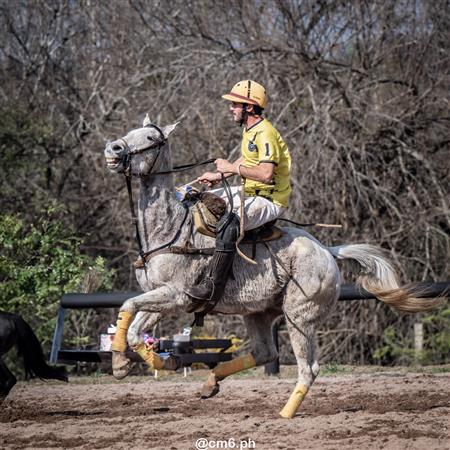 Torneo Nacional de Pato dia de la Independencia Argentina