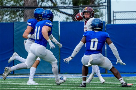 RSEQ 2025 - Football Universitaire - Carabins de Montréal (41) vs (14) Stingers de Concordia - Match