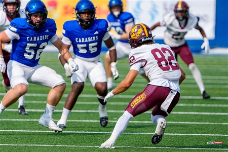 RSEQ 2025 - Football Universitaire - Carabins de Montréal (41) vs (14) Stingers de Concordia - Match